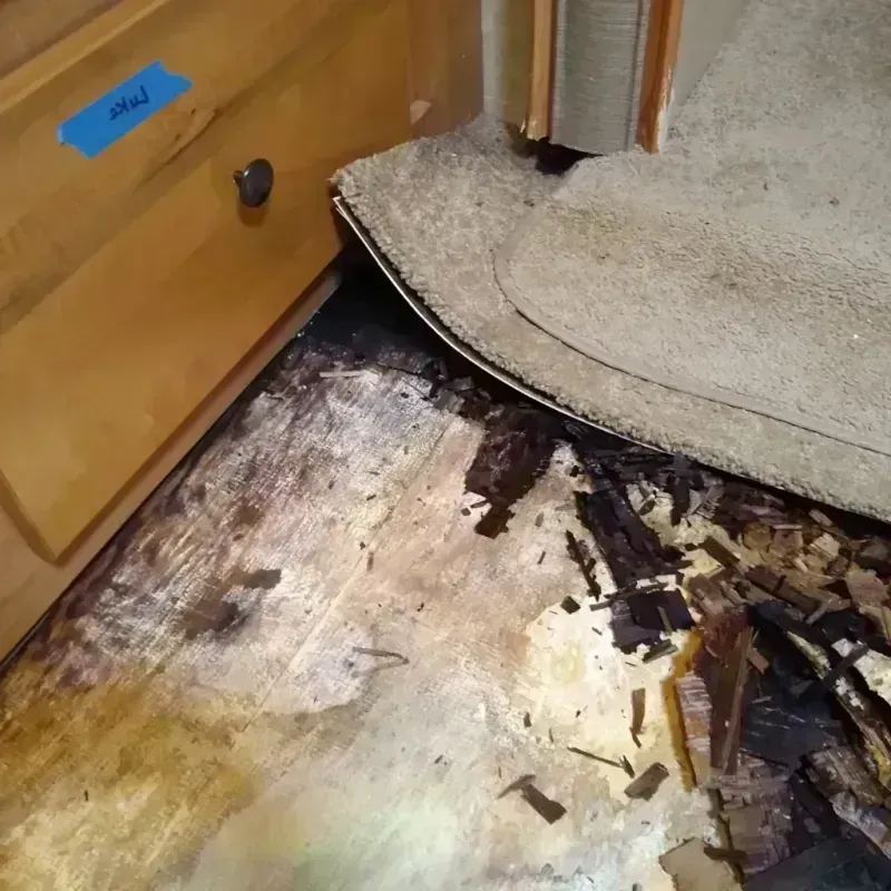 Wood Floor Water Damage in Marlboro Village, MD